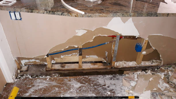 Best Water damage restoration near me  in Petaluma, CA