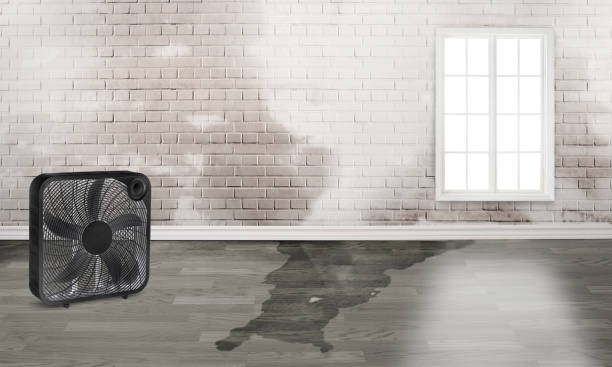Best Residential water damage restoration  in Petaluma, CA