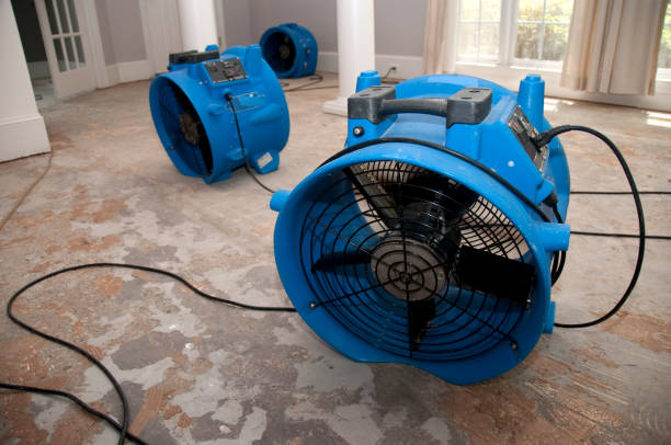 Best Water damage restoration near me  in Petaluma, CA