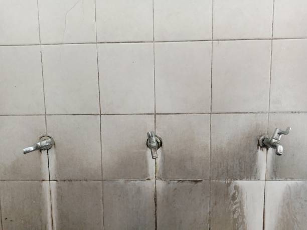 Best 24-hour water damage restoration  in Petaluma, CA