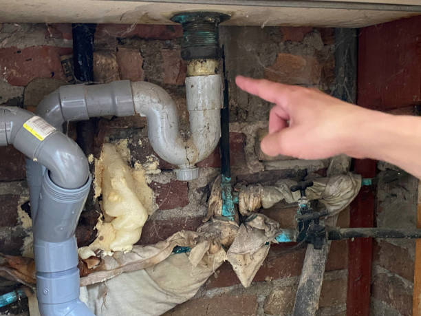 Best Carpet water damage restoration  in Petaluma, CA