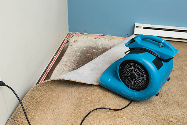 Best 24/7 water damage repair  in Petaluma, CA