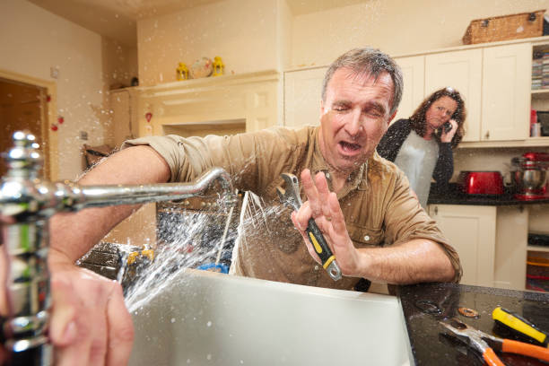 Best Water damage contractors near me  in Petaluma, CA